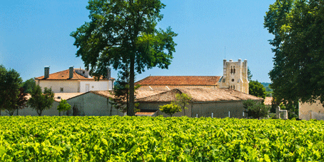 Chateau Potensac